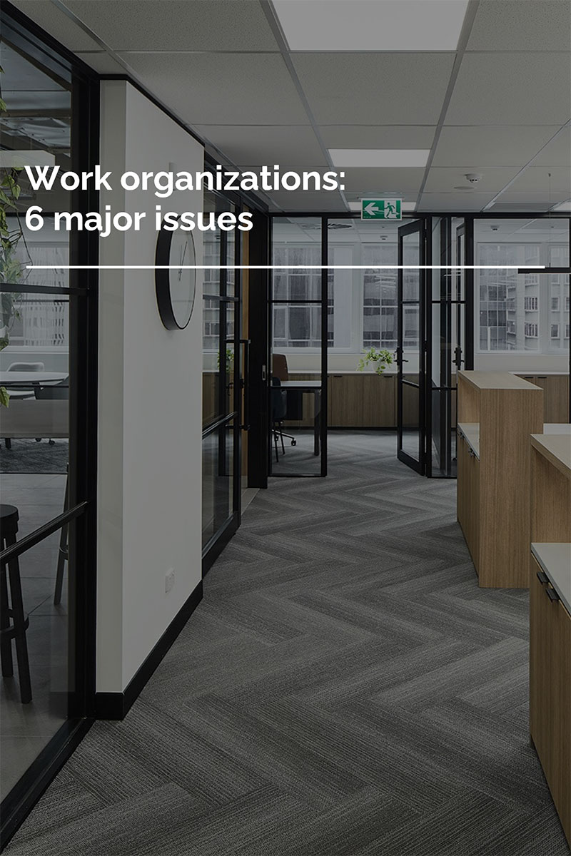Work organization: 6 major issues